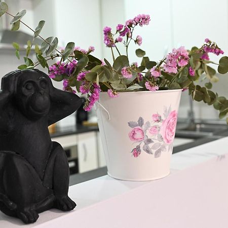 M&M Apartment รอนดา ภายนอก รูปภาพ